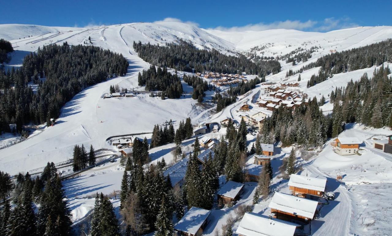 Almhaus Chalet Lachtal Oberwoelz Stadt Экстерьер фото