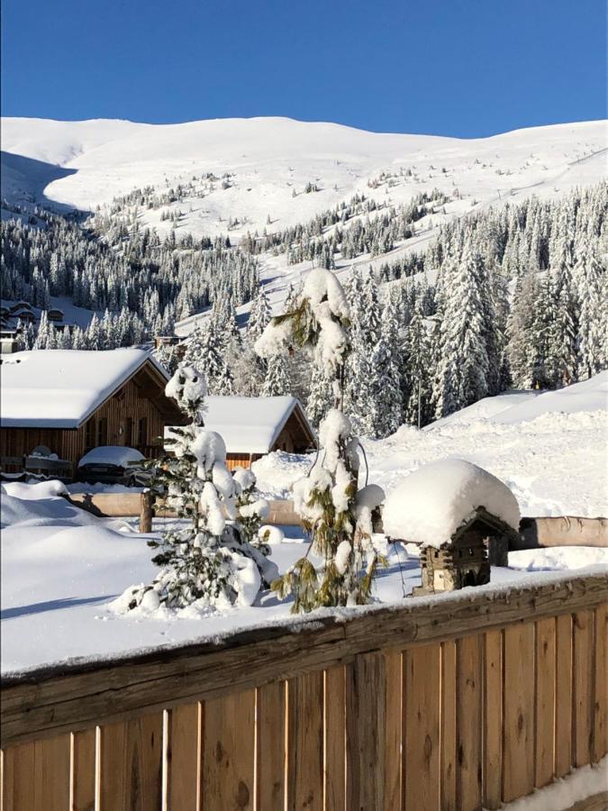 Almhaus Chalet Lachtal Oberwoelz Stadt Экстерьер фото