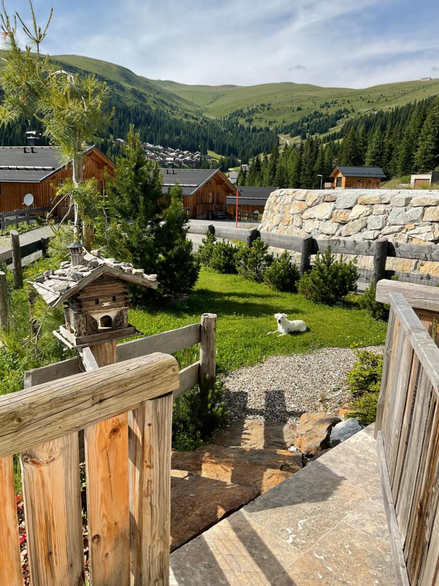 Almhaus Chalet Lachtal Oberwoelz Stadt Экстерьер фото